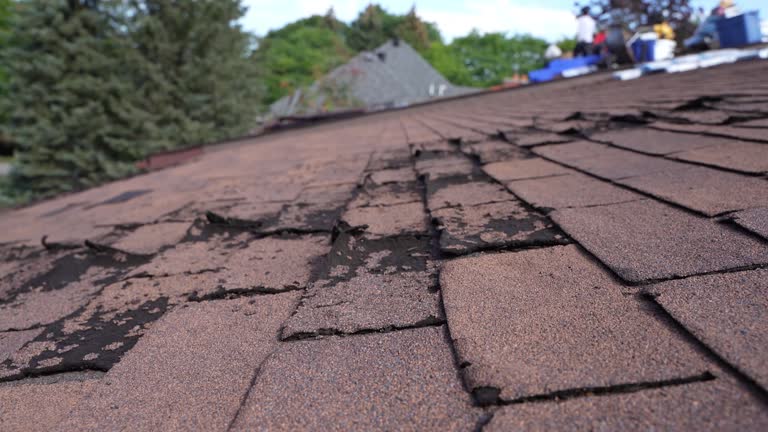 Mazon, IL Roofing Service Company